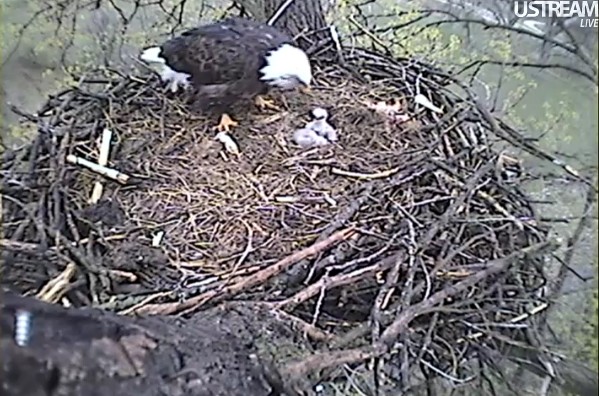 ScreenHunter_04 Mar. 30 10.39.jpg